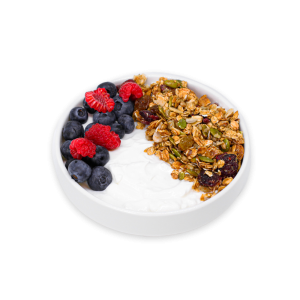 Greek Yogurt in a bowl with berries and granola